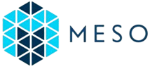 Meso Foreign Employment Agency